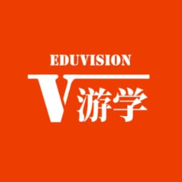 Vision Education Group